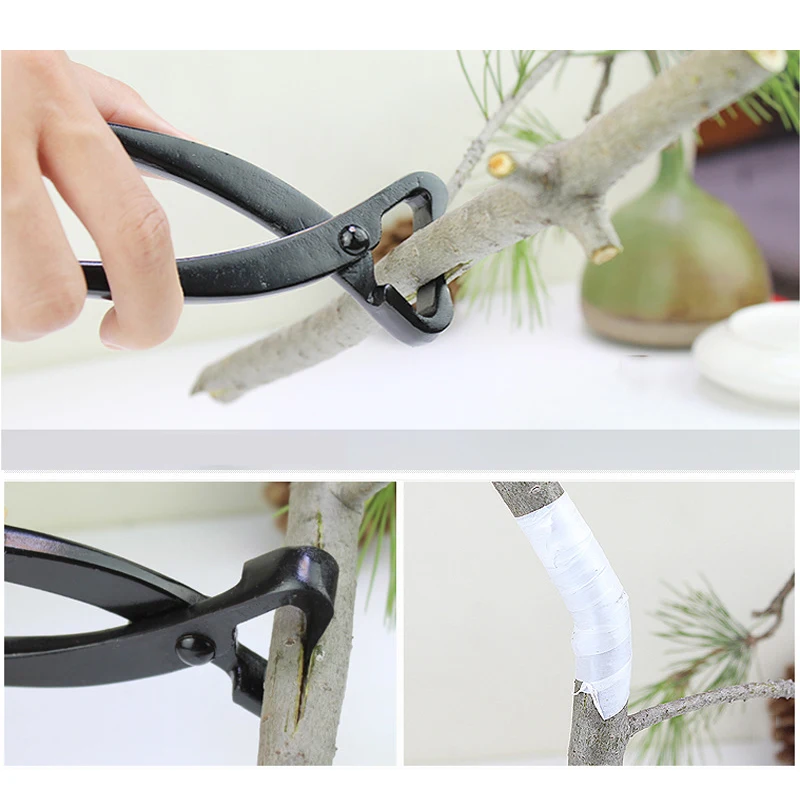 Tang pemotong Bonsai profesion - Smart Garden Edging ulasan dan harga