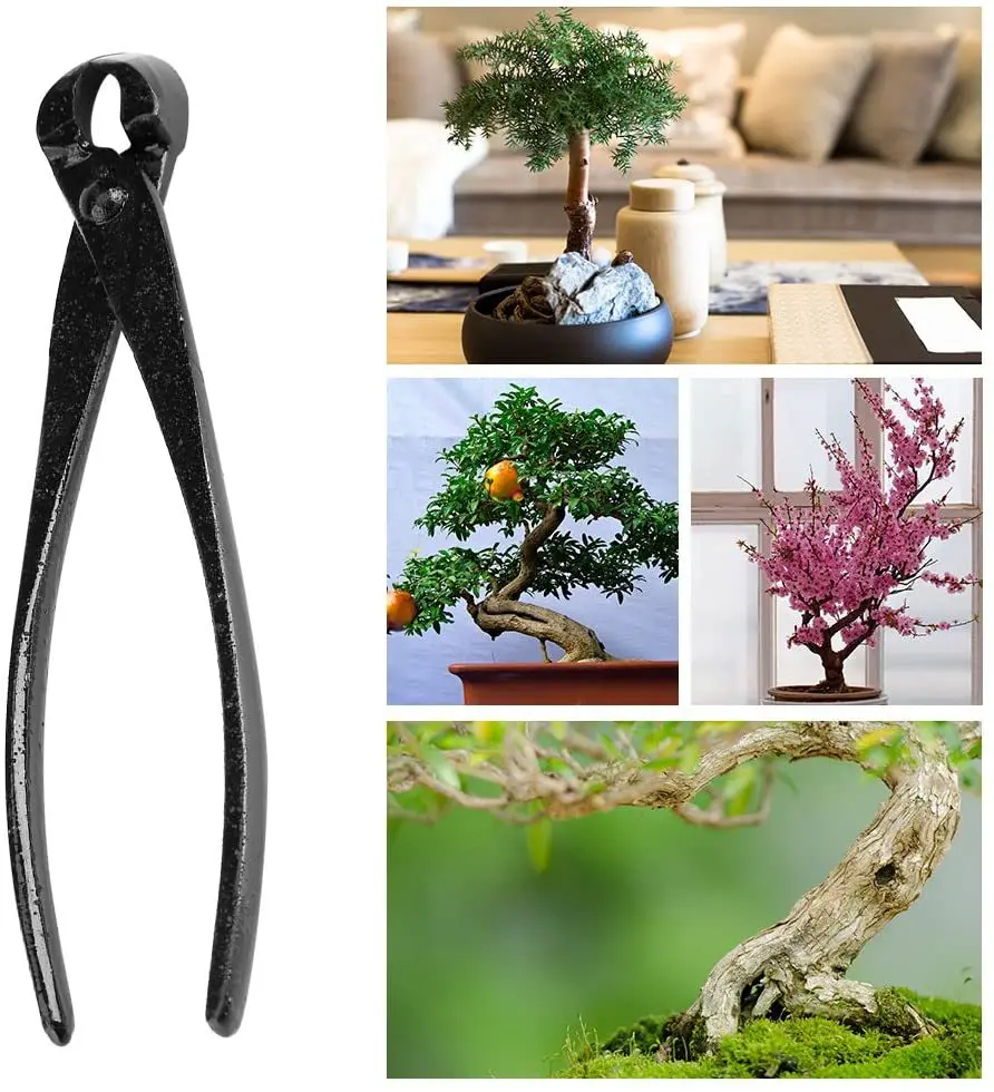 Tang pemotong Bonsai profesion - Smart Garden Edging ulasan dan harga