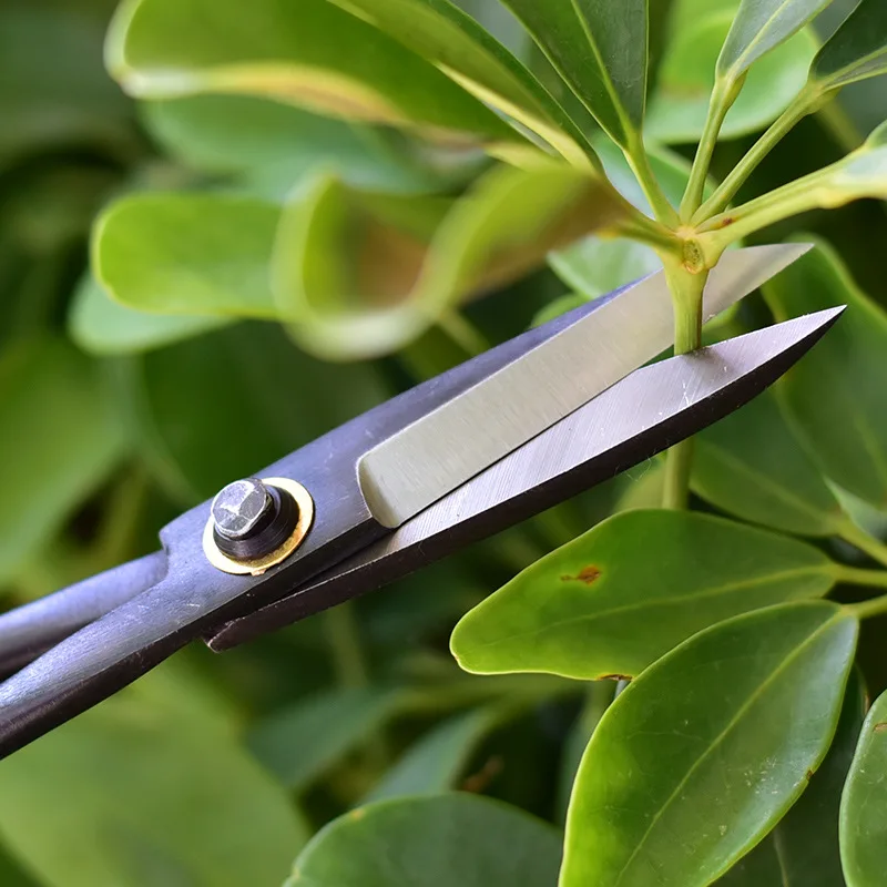 Tang pemotong Bonsai profesion - Smart Garden Edging ulasan dan harga