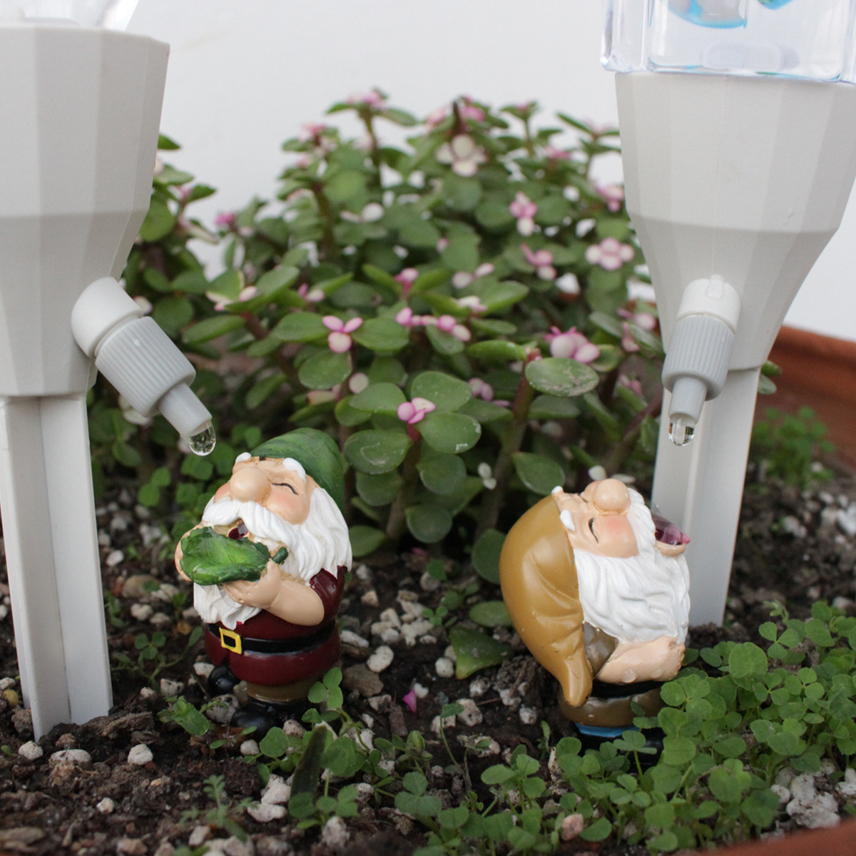 2 set Gnome Automatic Watering - Smart Garden Watering Can ulasan dan harga
