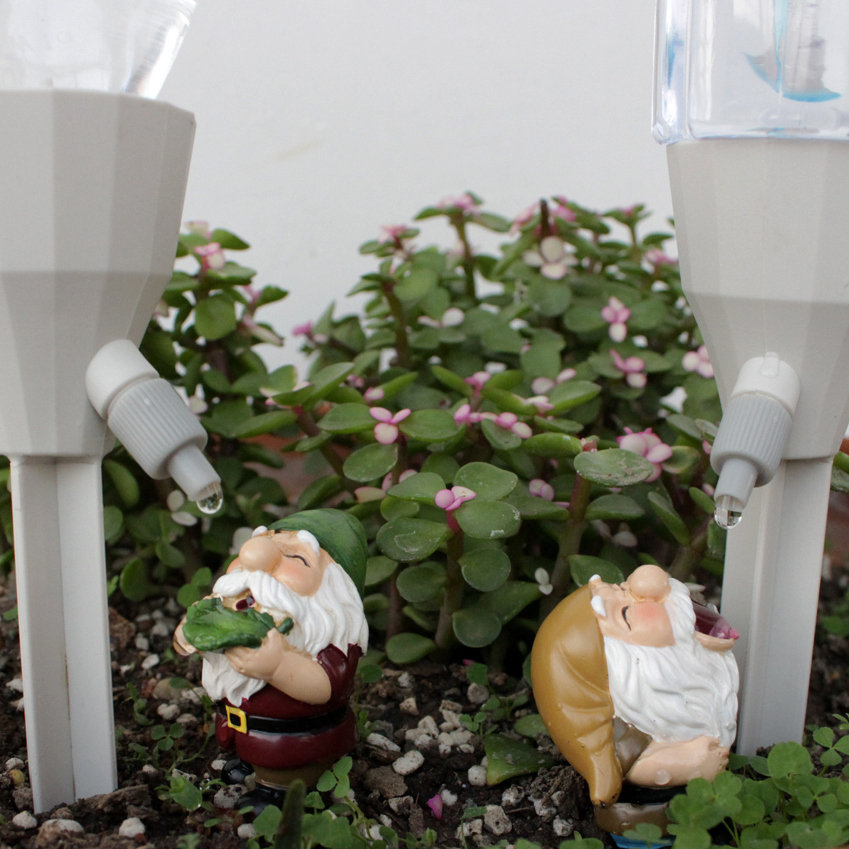 2 set Gnome Automatic Watering - Smart Garden Watering Can ulasan dan harga