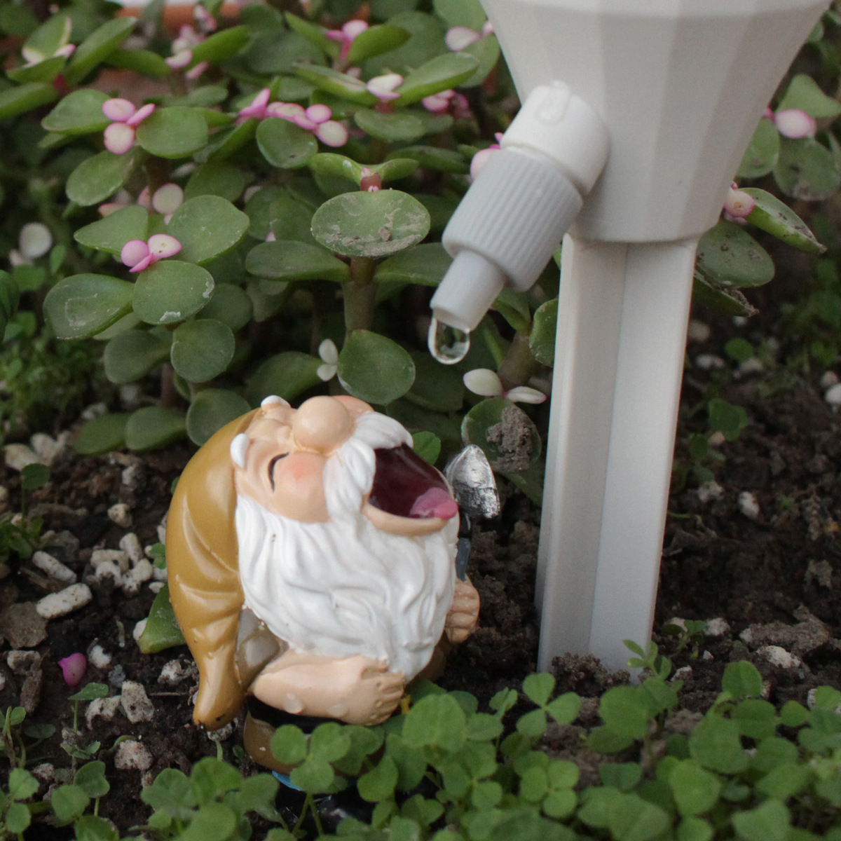2 set Gnome Automatic Watering - Smart Garden Watering Can ulasan dan harga